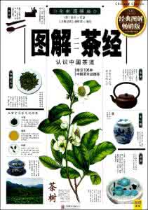 对中国茶文化的认识 《图解茶经 认识正宗中国茶文化的经典》