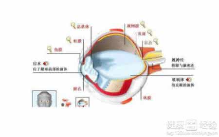 密闭墙自查报告 黄斑变性 自查黄斑变性 不妨睁一眼闭一眼
