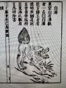 小学汉字听写大赛题库 白泽小学汉字听写大赛题
