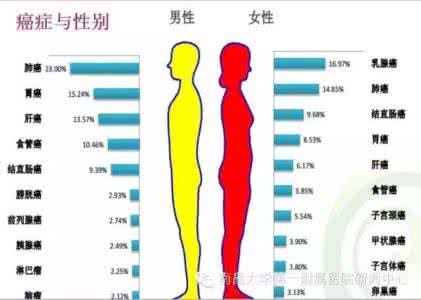 恶性肿瘤是癌症吗 恶性肿瘤是癌症吗 恶性肿瘤和癌症的分别