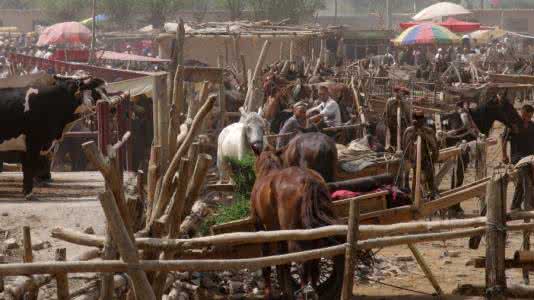 新疆赶集网 在新疆拍摄赶集