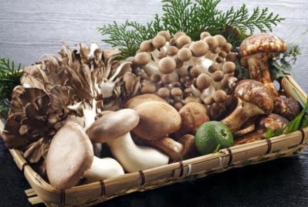 新鲜蘑菇怎么保存 怎样存放新鲜蘑菇?*
