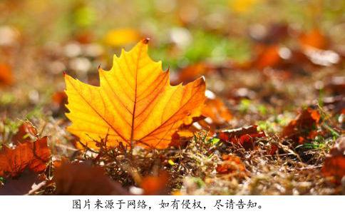 多事之秋 血管也有多事之秋（健康养生）