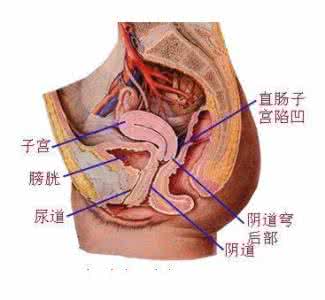 女人看到男人阴蒂勃起 射精瞬间，女人阴蒂勃起全过程