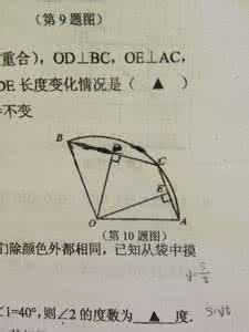 初中数学题解析 初中数学运动类型题