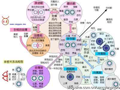 建立亲密关系5个阶段 亲密关系五个阶段 你处于第几段