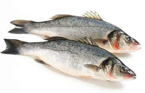 鱼最好吃的部位 吃鱼，有个部位千万别吃多 !