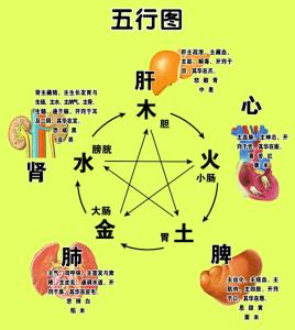 阴阳五行学说 精彩的“阴阳学说”与“五行空间” (上)