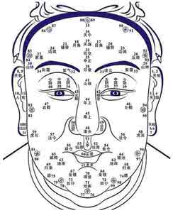 陈伟霆面相看另一半 面相算命图解初识另一半