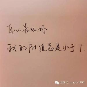 花言巧语大全 没有什么花言巧语,只有简简单单的几幅图几个字,却感动了数亿人!