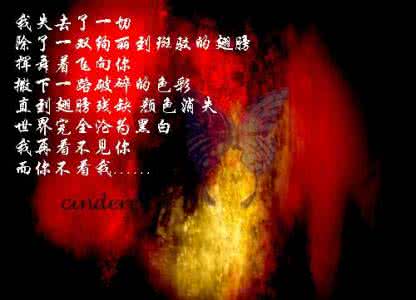 我爱你就像飞蛾扑火 你没有错,是我飞蛾扑火