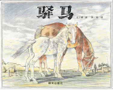 驿马骨的位置骨相图解 驿马真解