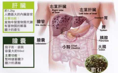 肝胆排石的最佳方法 太过神奇的肝胆简单排石法