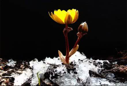 生存生活生命三种境界 生命是一种境界!