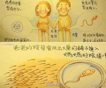 儿童性教育绘本大尺度 性教育尺度 图文