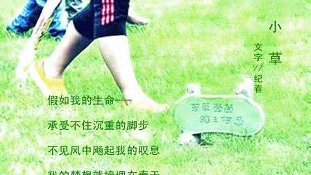 幸福请您等等我 纪春情诗集：《请您等等我 》