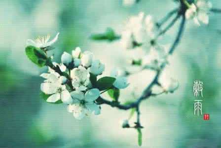谷雨赏花 诗说谷雨,赏花品茗