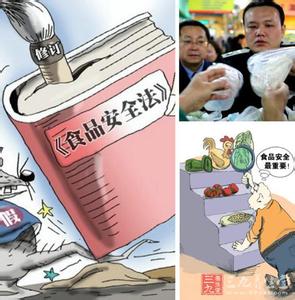 食品安全法 食品安全法大修 重点突出加强三大“力度”