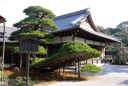 日本寺庙文化 日本寺院