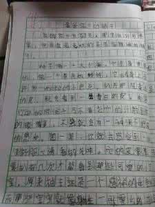 我爱我的特别作文450字