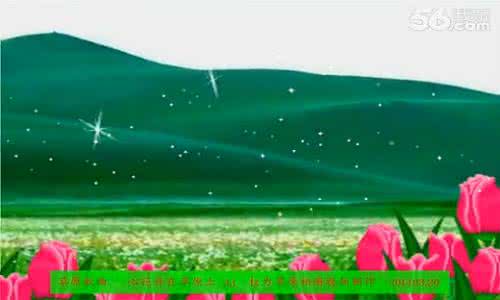 广场舞心花开在草原上 发烧碟霸《心花开在草原上》(212首)