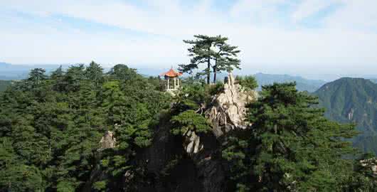 万佛山森林公园门票 万佛山森林公园