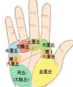 手掌丘位 手掌八丘透视你的财运