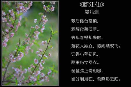 唐诗宋词的成就 雨滴汇成的唐诗宋词