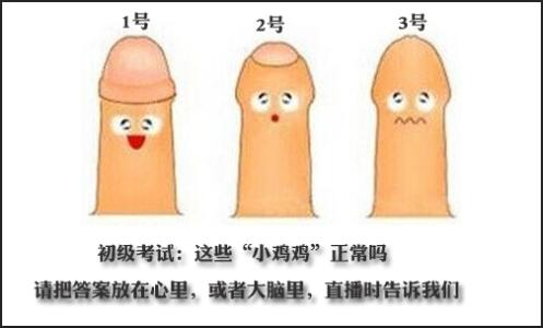 男孩发育过程与长高 男孩包皮 男孩包皮发育过程