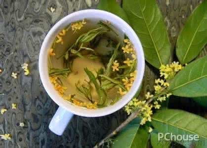 桂花酒的功效与作用 桂花茶、桂花酒功效与制作