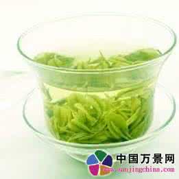 春茶和秋茶的区别 不可错过的七大春茶