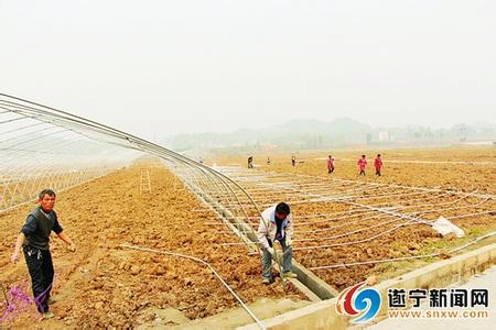 农业产业化的意义 论农业产业化在农村经济发展的深远意义