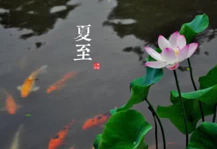 夏至节气的由来和习俗 立秋节气的由来及习俗