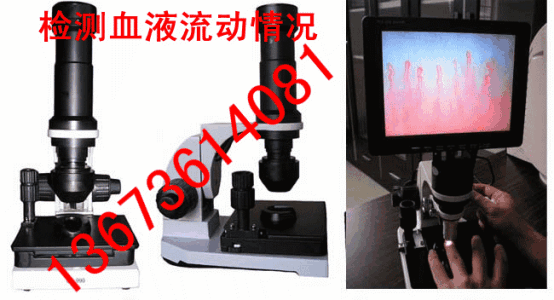 心脏血液循环动态图 心脏血液循环动态图 心脏细胞和血液细胞如何发生关联