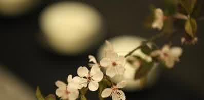 一日禅集锦经典 一日禅集锦（196）