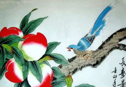 长寿花简笔画图片大全 关于长寿的画 长寿图