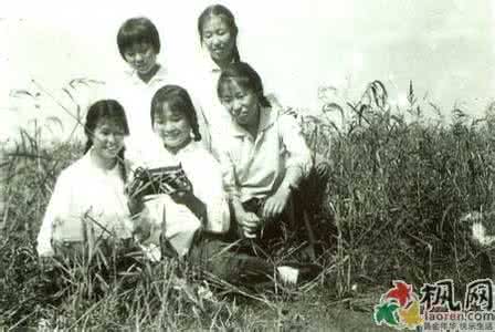 沉默年代讲了什么故事 这个年代,什么事都要赶