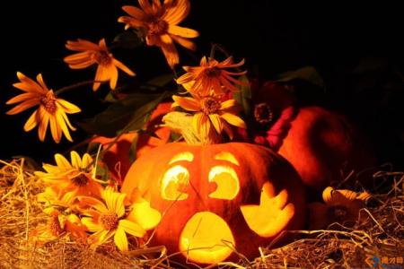 跟万圣节有关的事物 万圣节的象征事物