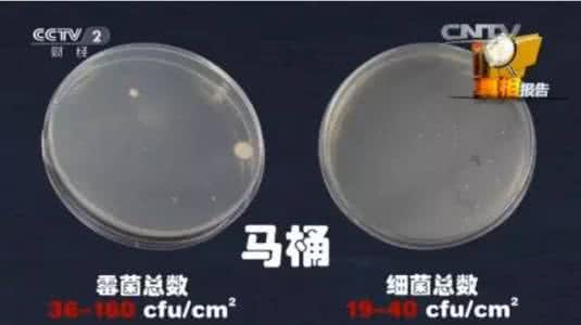 可怕！空调长期不洗，竟吹＇黑风＇致病，细菌是马桶30倍