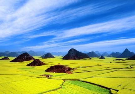 罗平油菜花海 罗平油菜花海，摄影师必去之地