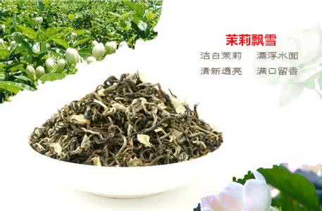 花茶塑料瓶 茉莉花茶功效 茉莉花茶的功效