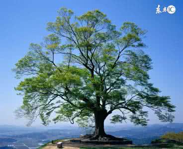 请留下您的宝贵意见 前人留下的经验，真的很宝贵