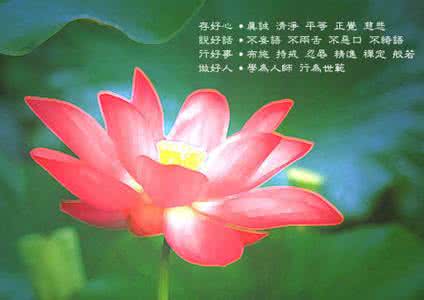 古筝佛曲云水禅心音乐 【转载】慈悲心静佛曲 100首 【佛曲禅心/修心养性】