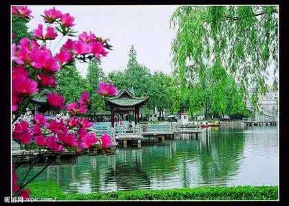 山茱萸 七绝 夜思 夜思（山茱萸64）/七绝