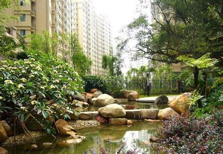 别墅菜园设计实景图 别墅庭院菜园设计