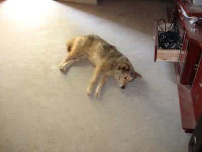 桃江县长热线 【桃江奇人】给他一根线，他能创造一个世界！