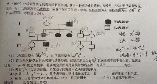 羊水组成 羊水是由什么组成的？