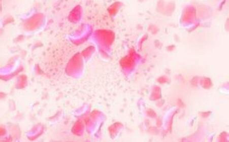 男性殖器疱疹症状图 生殖疱疹 生殖器疱疹 症状