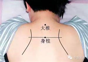 身柱穴:小儿的保命穴(每日一穴)