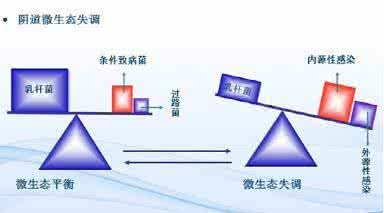 生态平衡的重要性 阴道也要“生态平衡”